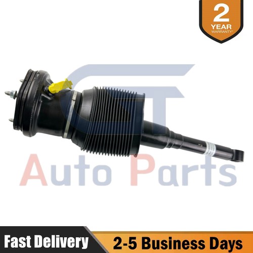Left rear air suspension gas - left,