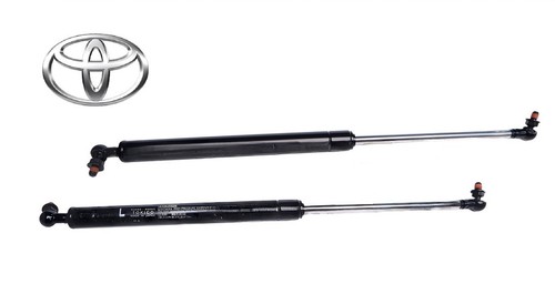 Oem sgear kit hood - sgear, lift