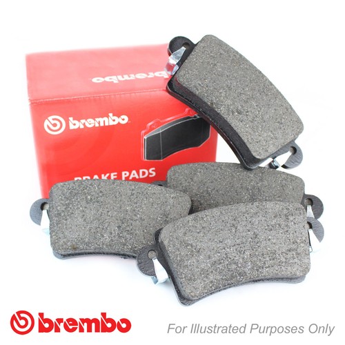Rear brembo brake - rear, pads
